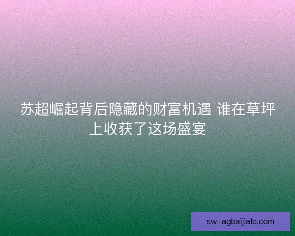 苏超崛起背后隐藏的财富机遇 谁在草坪上收获了这场盛宴 苏超崛起背后隐藏的财富机遇 谁在草坪上收获了这场盛宴