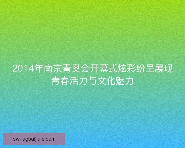 2014年南京青奥会开幕式炫彩纷呈展现青春活力与文化魅力 2014年南京青奥会开幕式炫彩纷呈展现青春活力与文化魅力