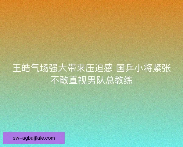 王皓气场强大带来压迫感 国乒小将紧张不敢直视男队总教练 王皓气场强大带来压迫感 国乒小将紧张不敢直视男队总教练