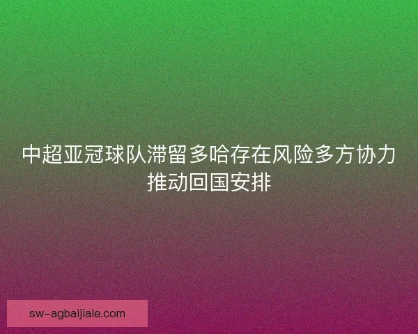 中超亚冠球队滞留多哈存在风险多方协力推动回国安排