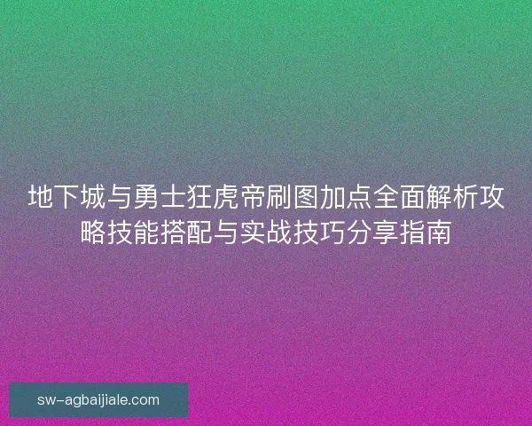 地下城与勇士狂虎帝刷图加点全面解析攻略技能搭配与实战技巧分享指南